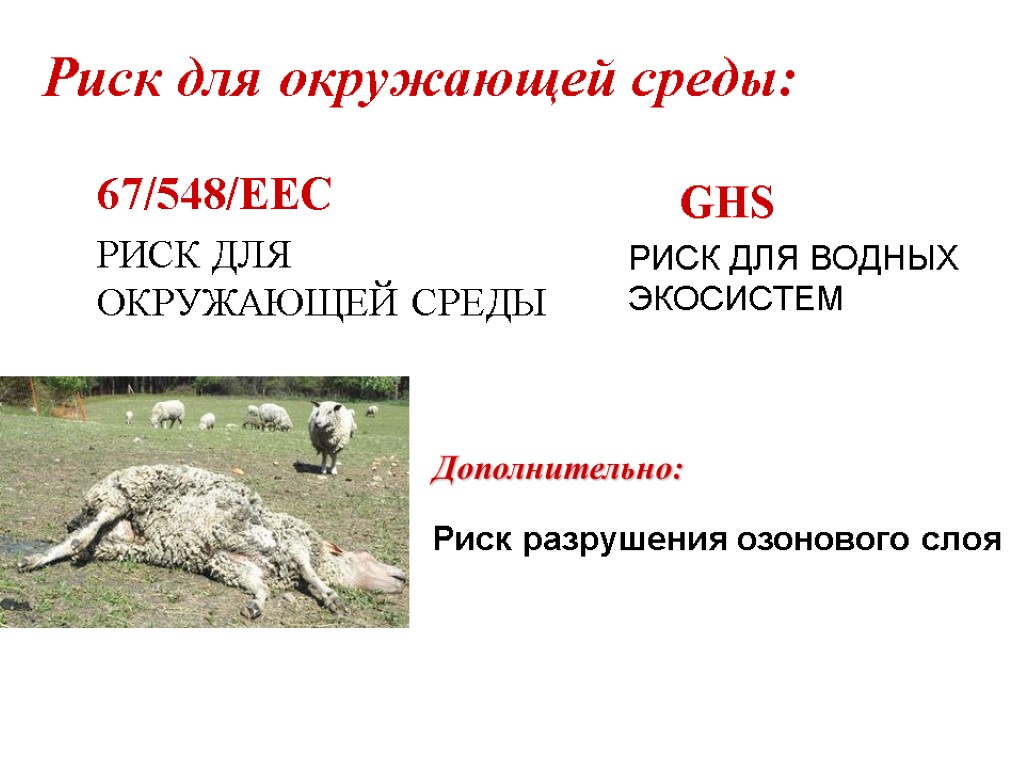 Риск для окружающей среды: GHS РИСК ДЛЯ ВОДНЫХ ЭКОСИСТЕМ 67/548/EEC РИСК ДЛЯ ОКРУЖАЮЩЕЙ СРЕДЫ